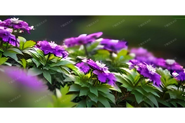 13. 武汉桑拿馆探秘，养生之旅从这里开始